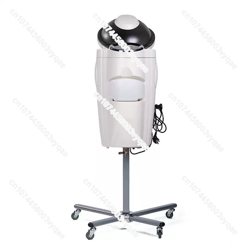 Hair Care Treatment - Oliebehandeling Ozon Micro Mist Steam Haarverzorging