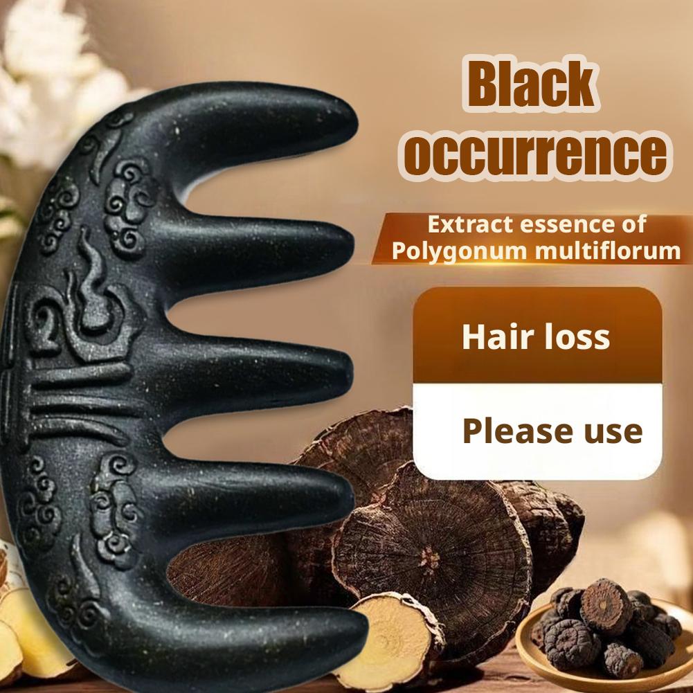 Hair Care Japanese - NIEUW Puur natuurlijke kruiden haarkam Massage